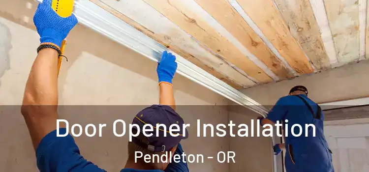  Door Opener Installation Pendleton - OR