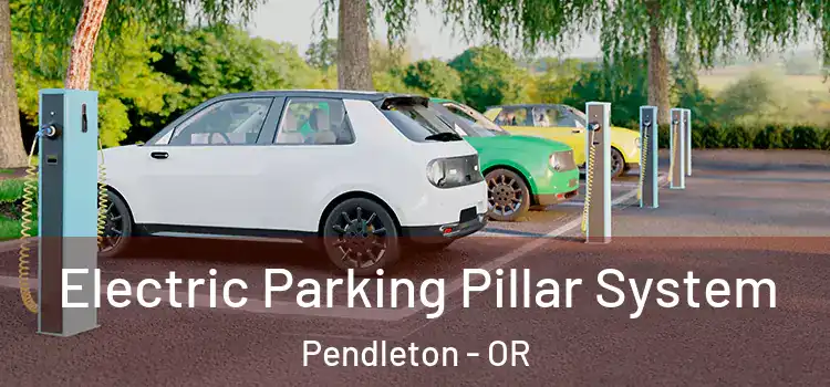  Electric Parking Pillar System Pendleton - OR