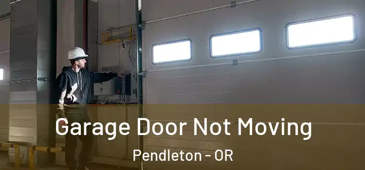  Garage Door Not Moving Pendleton - OR