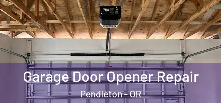  Garage Door Opener Repair Pendleton - OR