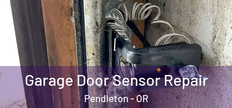  Garage Door Sensor Repair Pendleton - OR