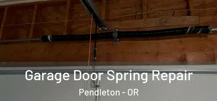  Garage Door Spring Repair Pendleton - OR