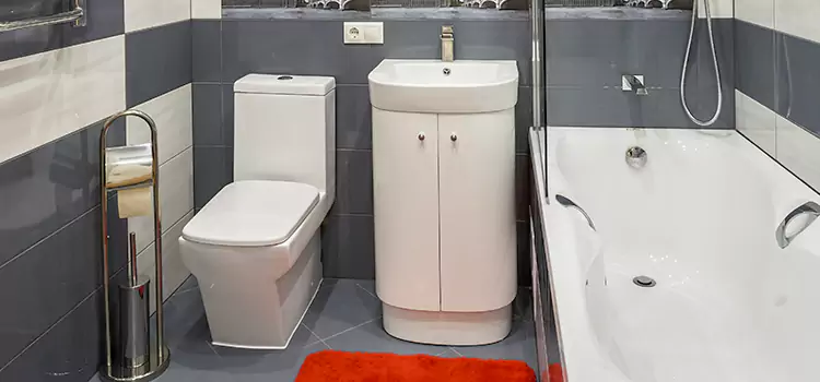 Hansgrohe Shaving Mirror Pendleton