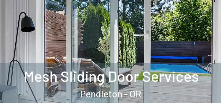  Mesh Sliding Door Services Pendleton - OR